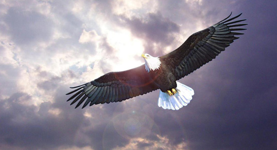 海洋之神·hy590(中国)最新官方网站