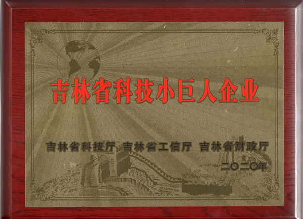 0海洋之神物业获“吉林省科技幼巨人企业”称号_副本.jpg